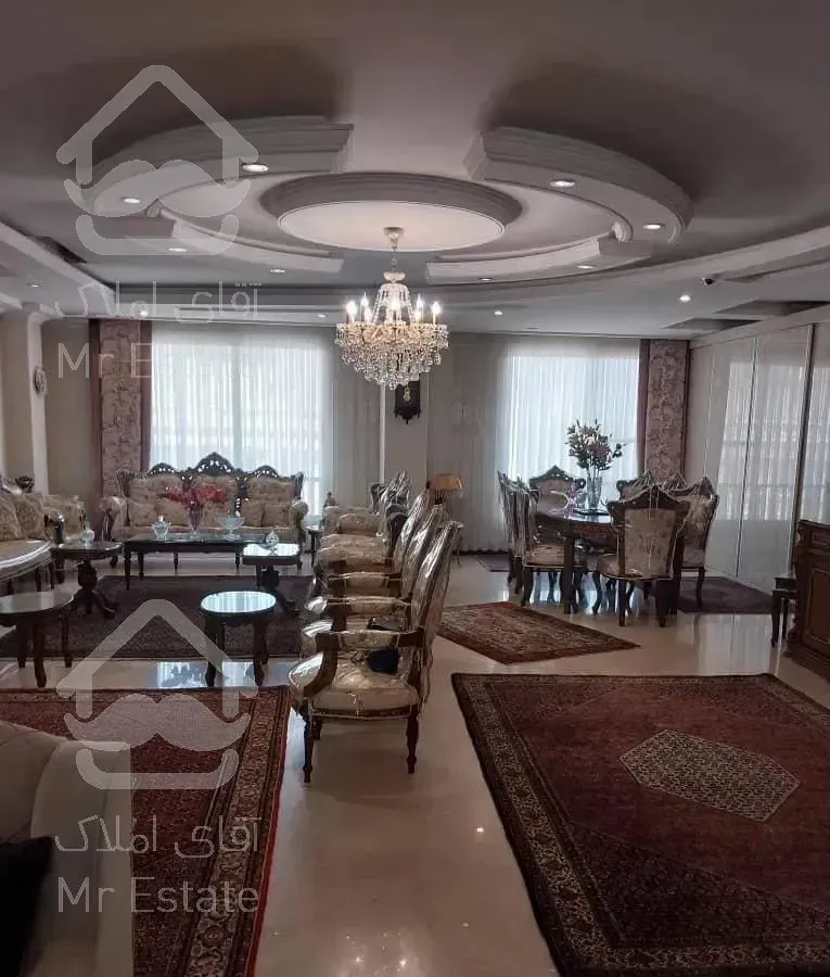 میرداماد - شاه نظری ( 205 متری )