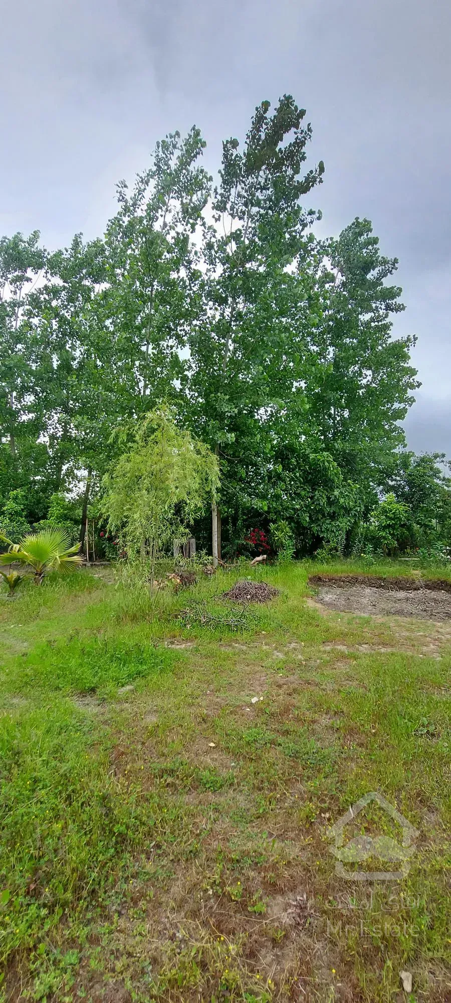 180متر ویلا داخل 3000 متر باغ فروش فوری