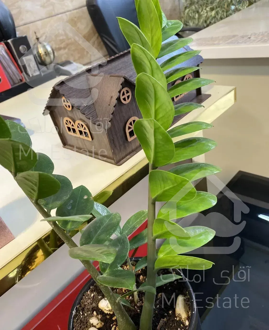 آپارتمان تک واحد