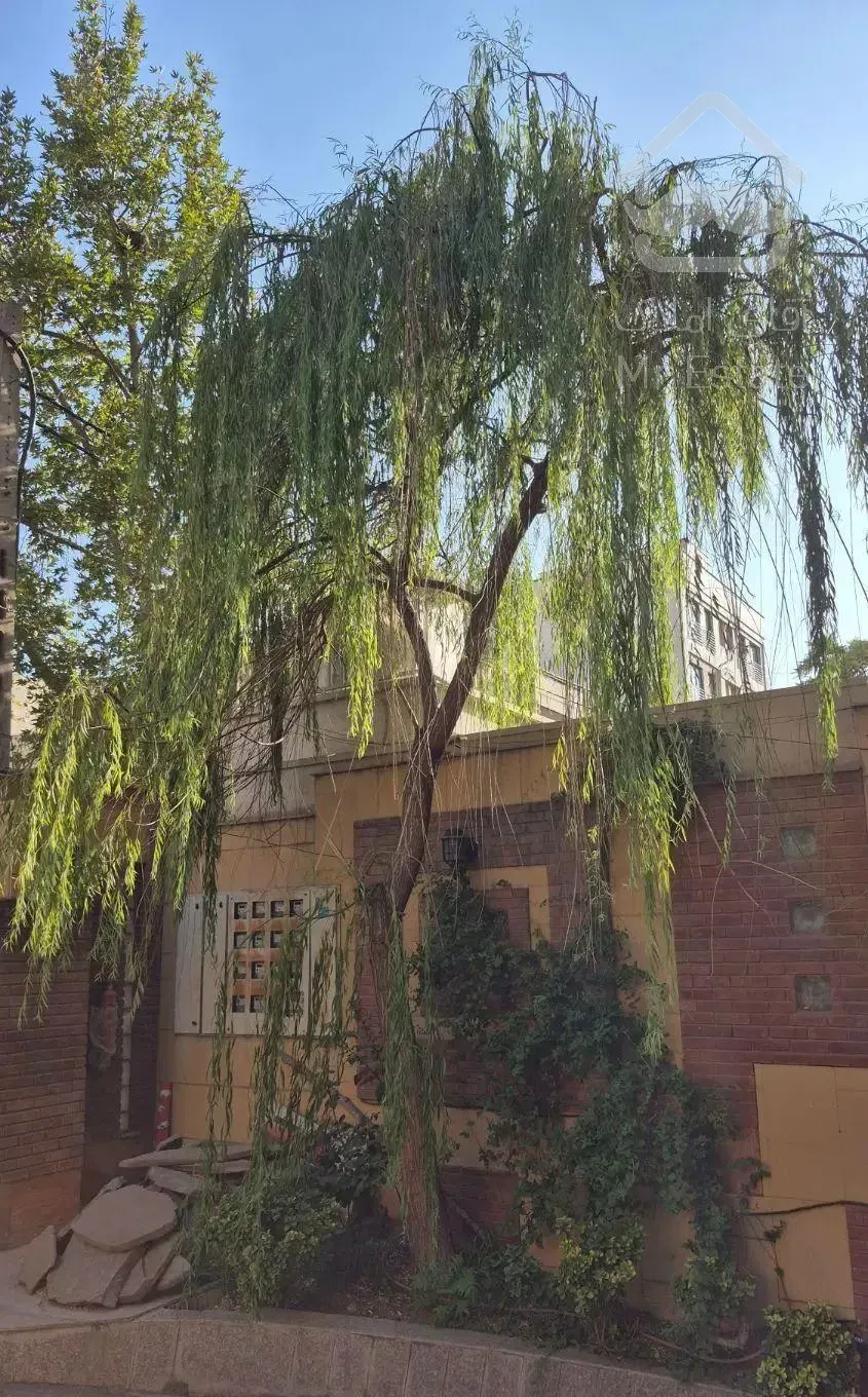 ۷۰ متر یک خواب با حیاط در اختیار *تک واحدی*