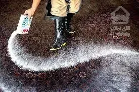 قالیشویی و مبل شویی پاسداران،هروی،ساقدوش،مجیدیه