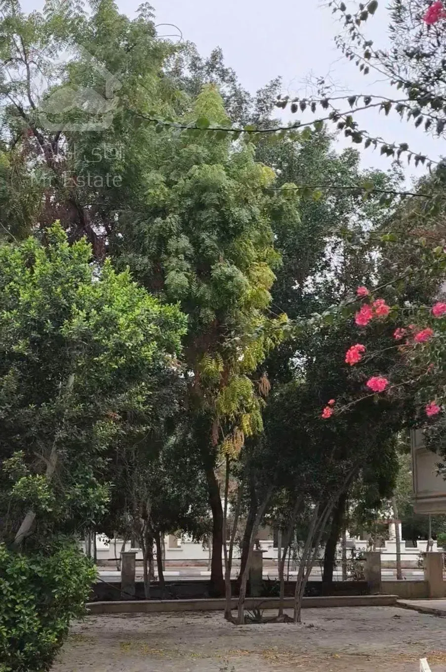 بهترین لوکیشن صدف/دوبلکس/فول بازسازی/مبله