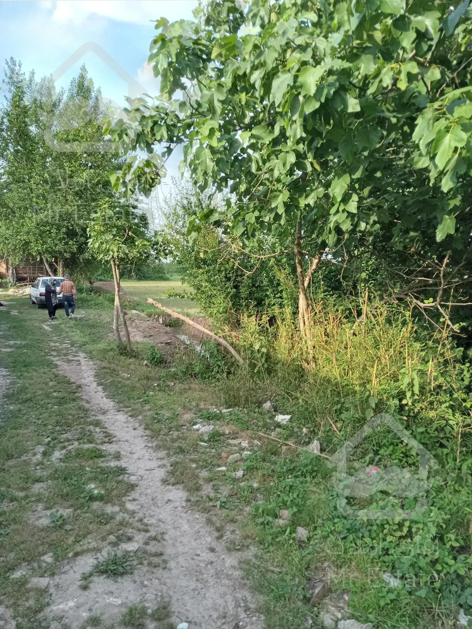 6000متر زمین خیابان