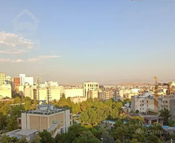 ۱۰۰ متری بالای کاج