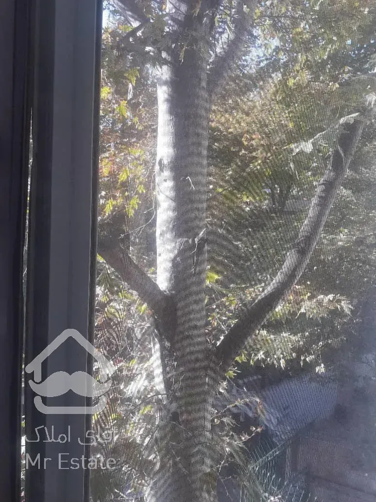 اجاره و رهن آپارتمان زعفرانیه 150  متر اکازيون