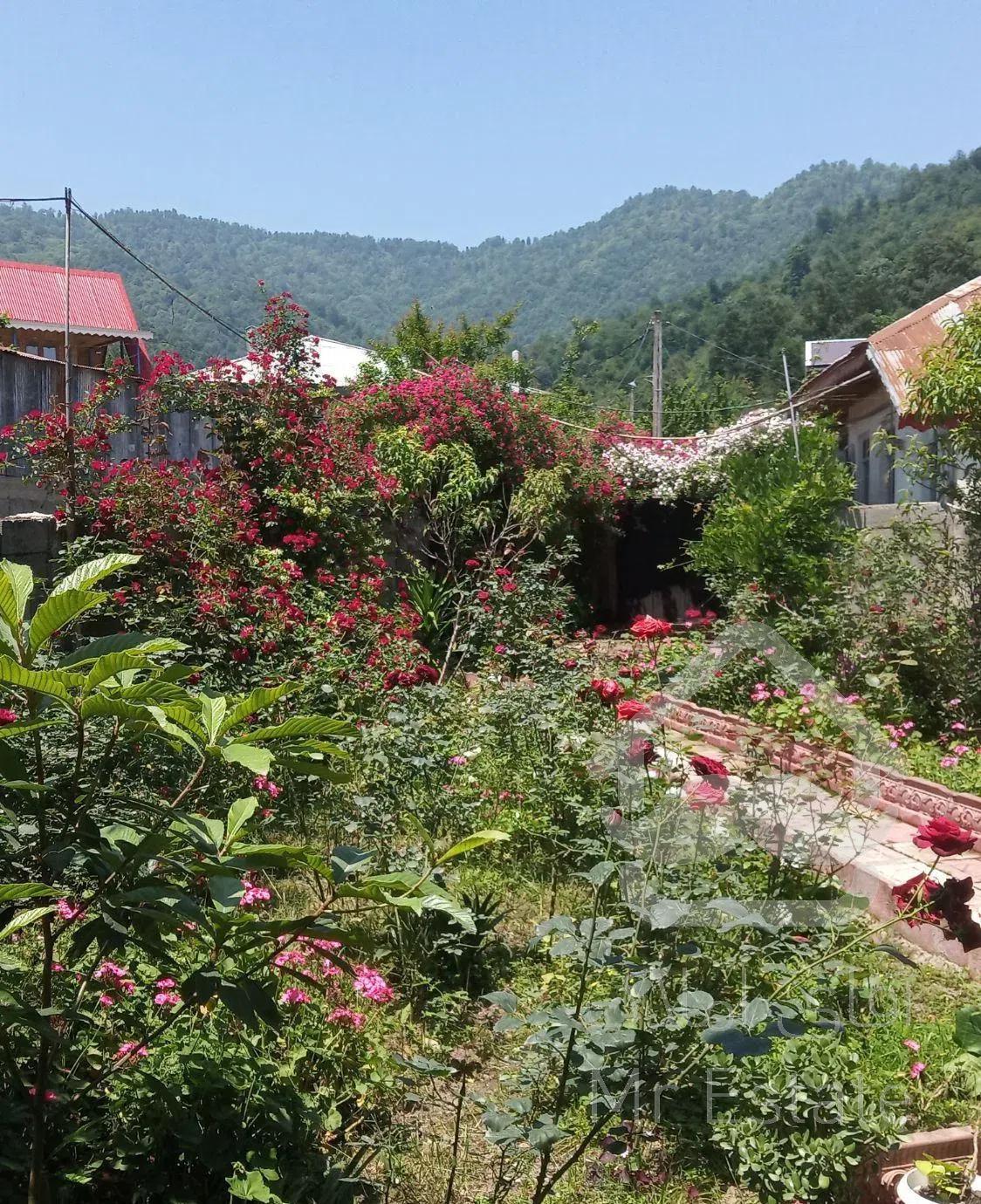 اجاره ویلا آلاچیق دار دربست ماسال روستای مرکیه