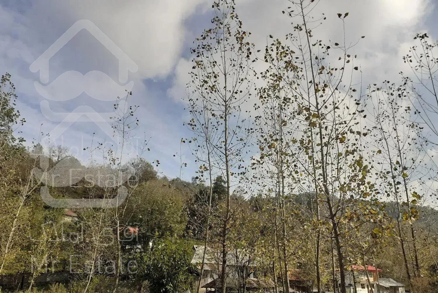 اجاره ویلا جنگلی کوهستانی