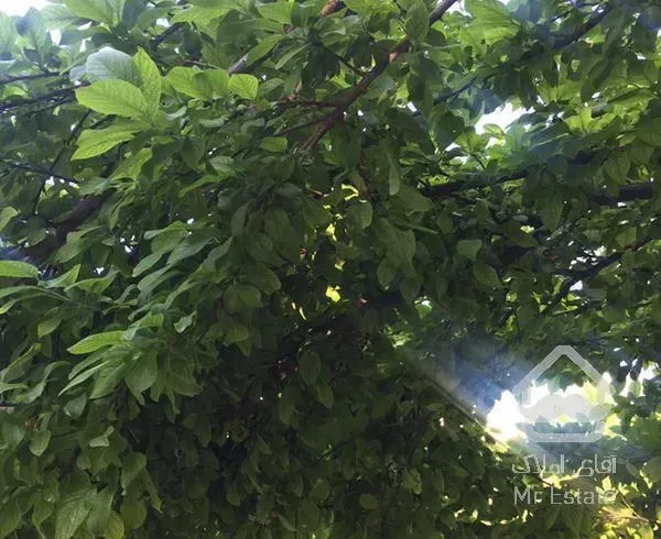 ویلا باغ مبله مالک هستم