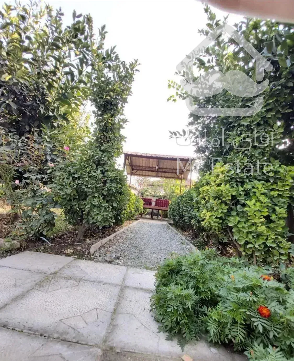 ویلای سرسبز شمال