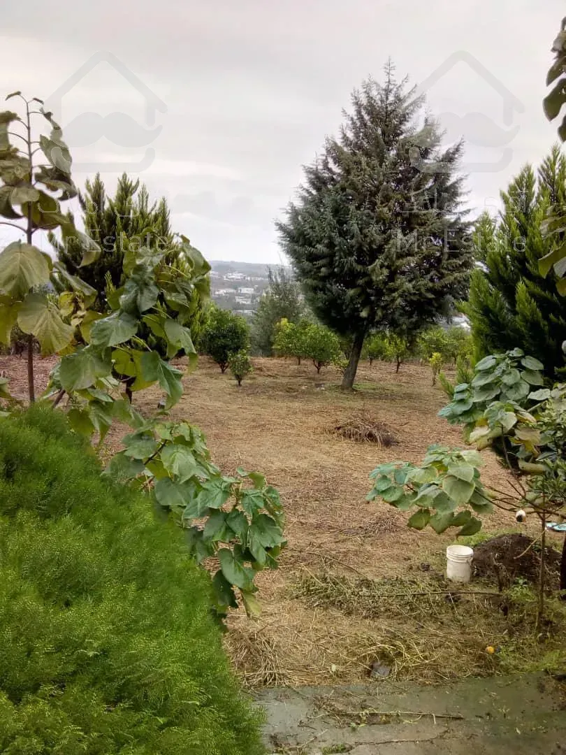 باغ ۱۳۰۰۰ متری در مازندران