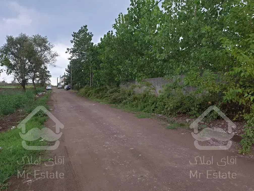 زمین ساحلی سند دار