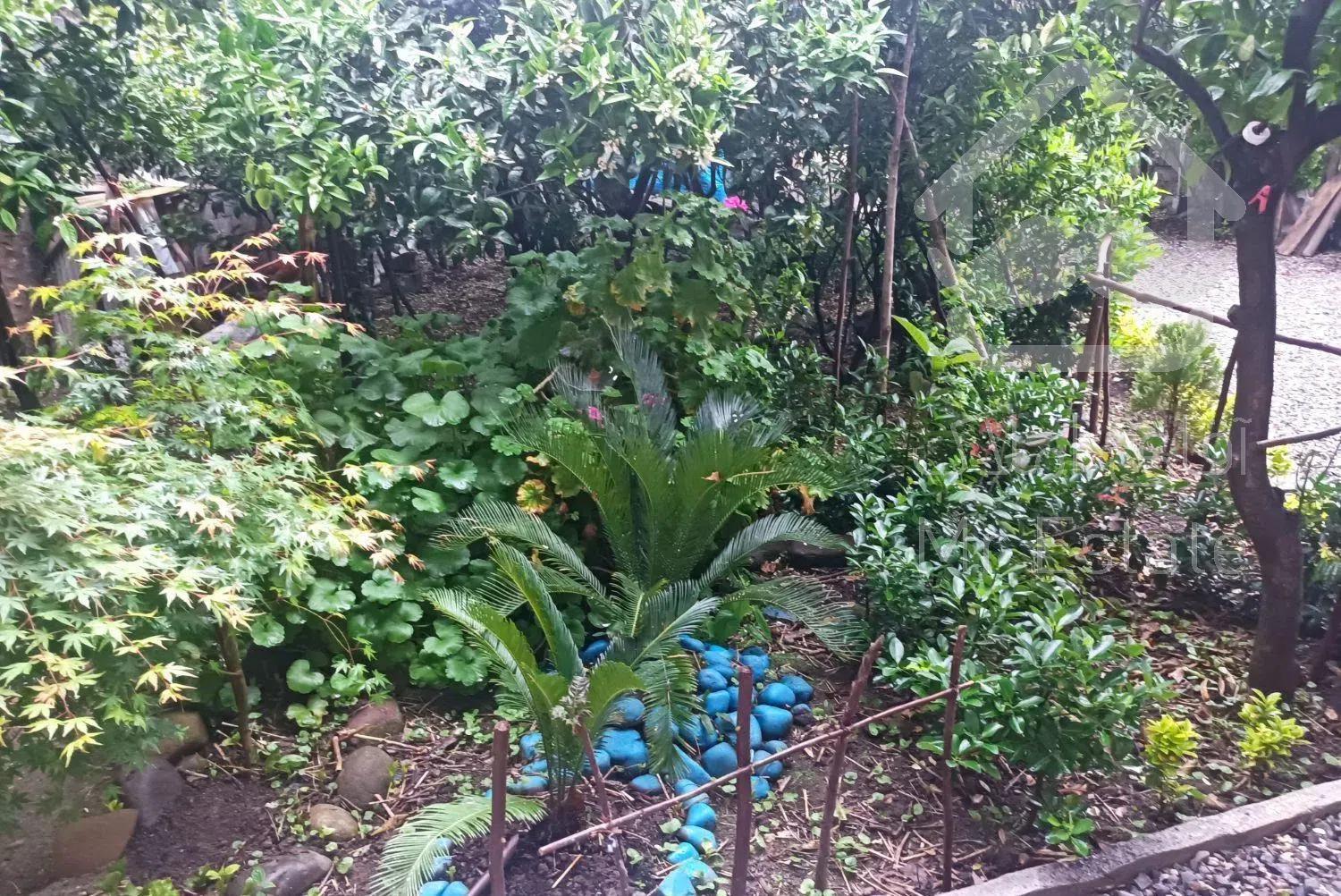 ویلا دوخواب حیاط باغی نوساز