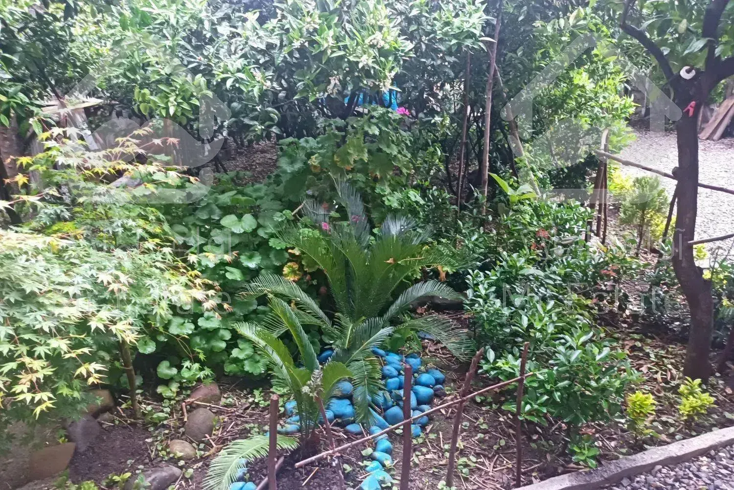 ویلا دوخواب حیاط باغی نوساز