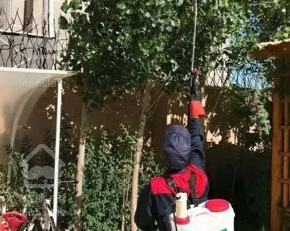 سمپاشی تخصصی تنظیف کار