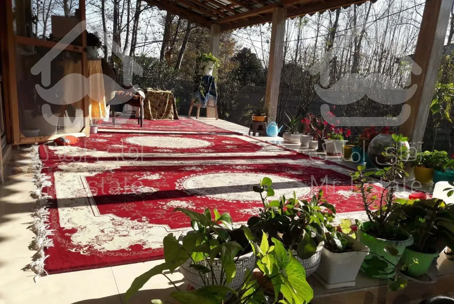 سوییت مناسب زوج جوان