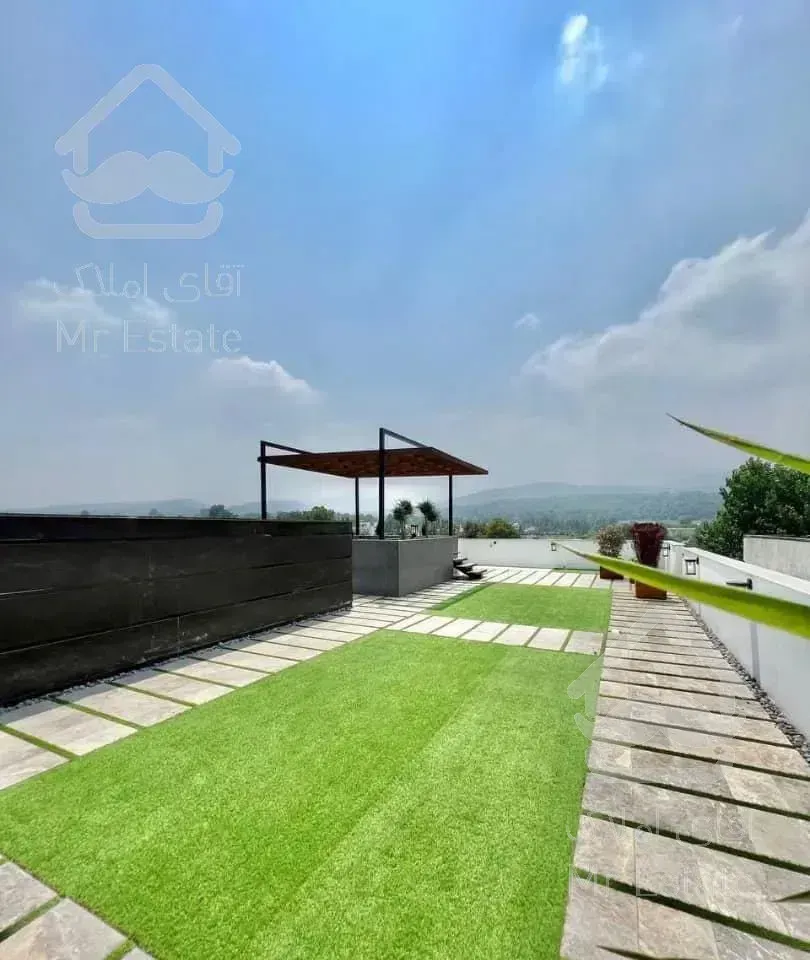 مدرن و  سند تک برگ در چمستان