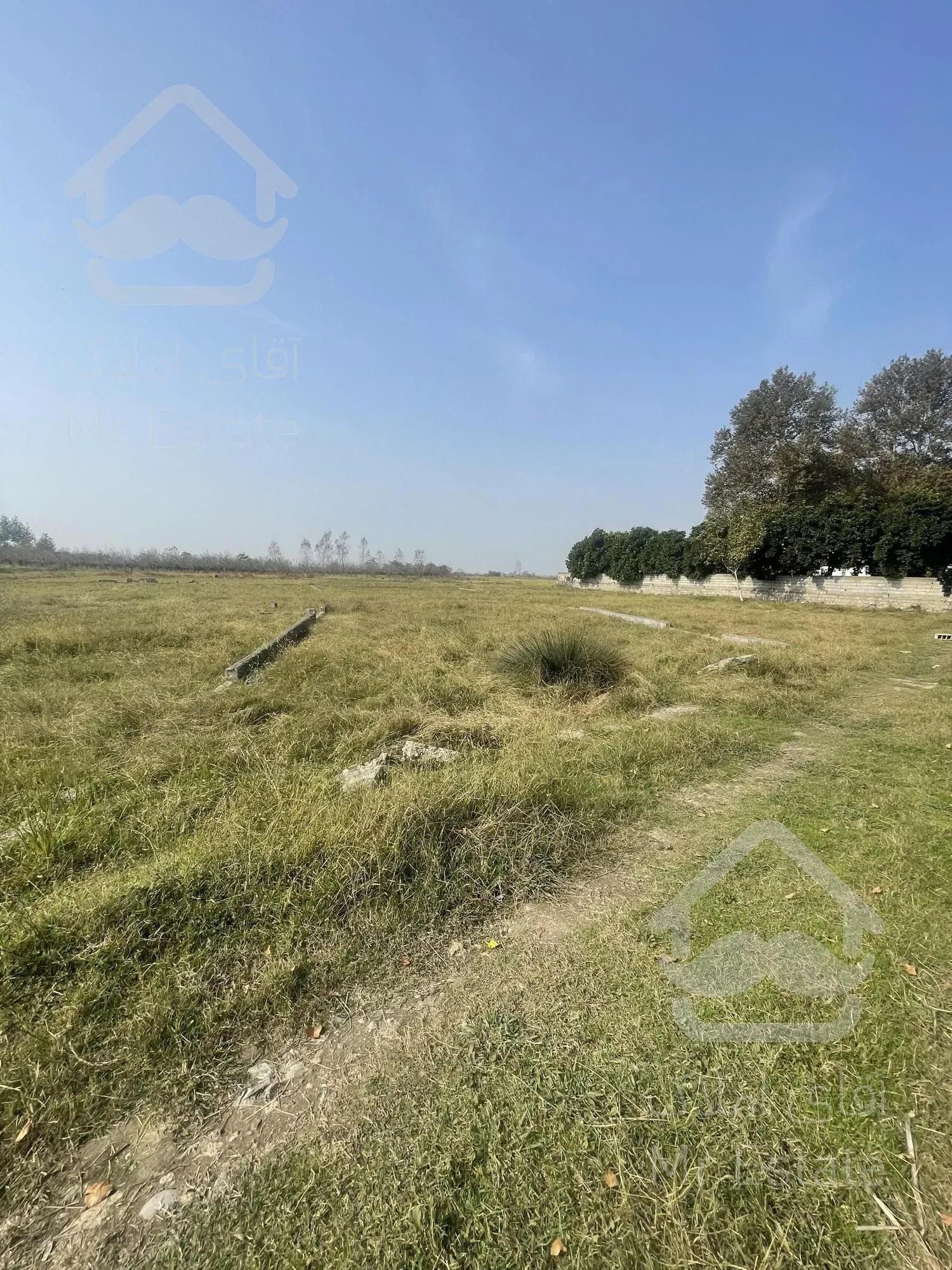 با ۳۰۰ میلیون صاحب زمین شوید