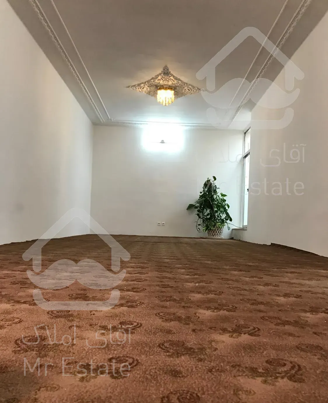 ویلائی دانش آموز ۱۳