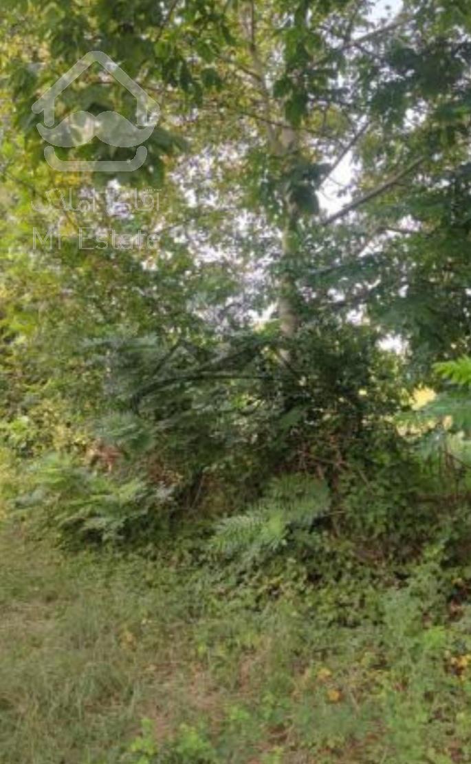 فروش زمین مسکونی وباغی