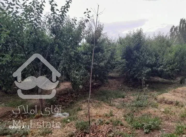 فروش زمین باغچه