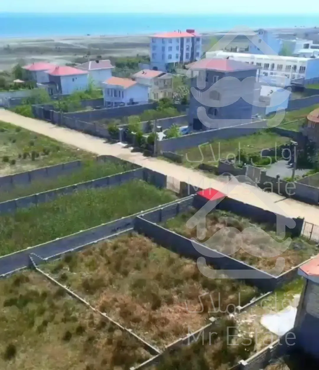 ۳۱۸ متر/ساحلی/سند تک برگ