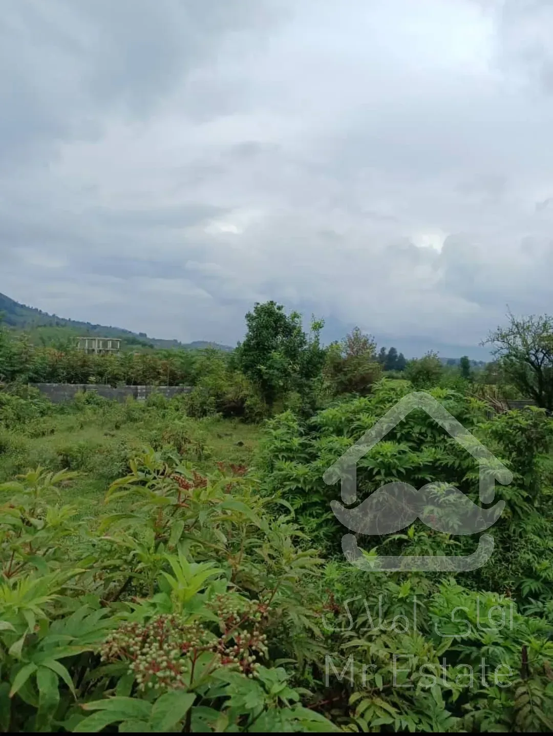 فروش زمین در سیاهکل