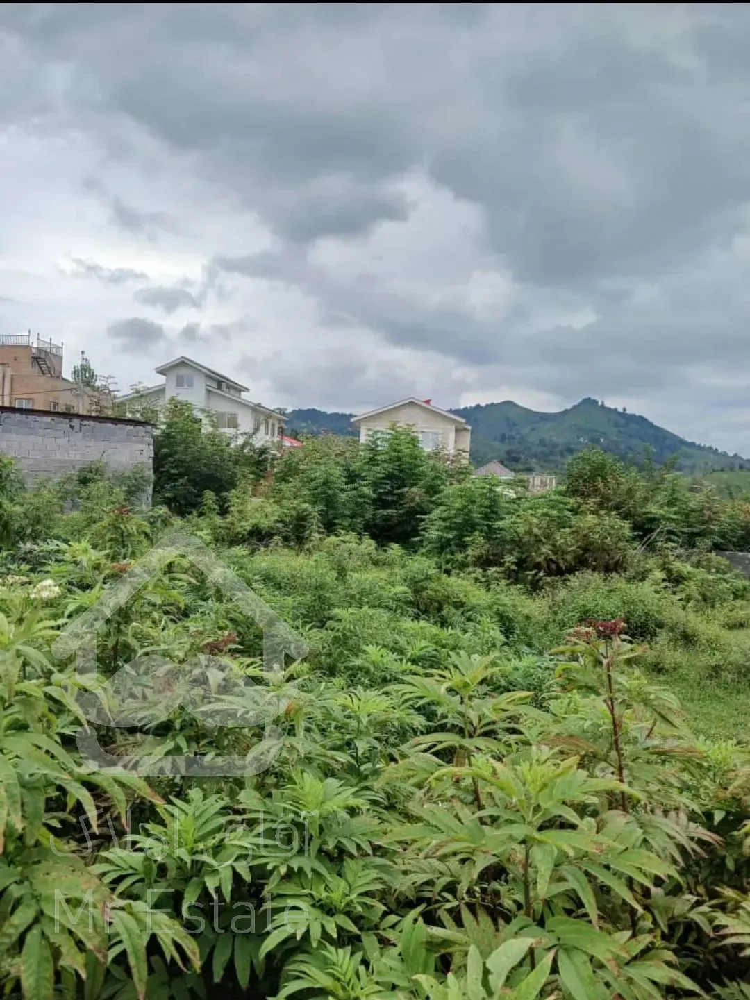 زمین مسکونی ۳۶۰ متری در استان گیلان