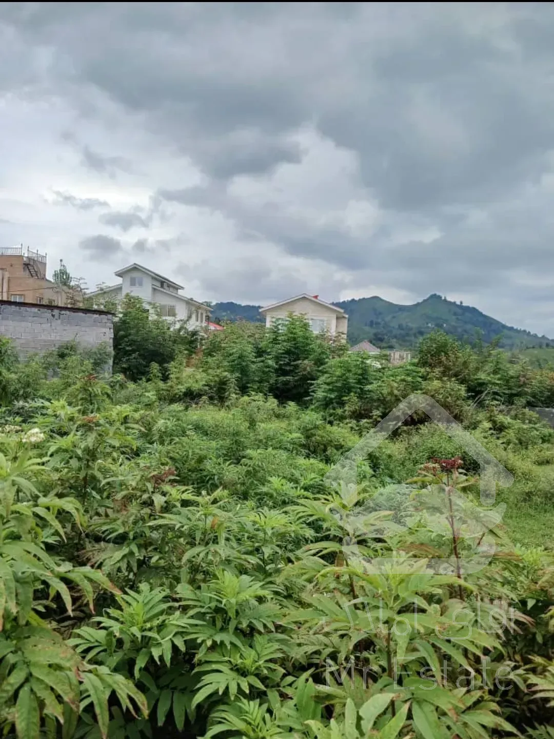 فروش زمین مسکونی در استان گیلان