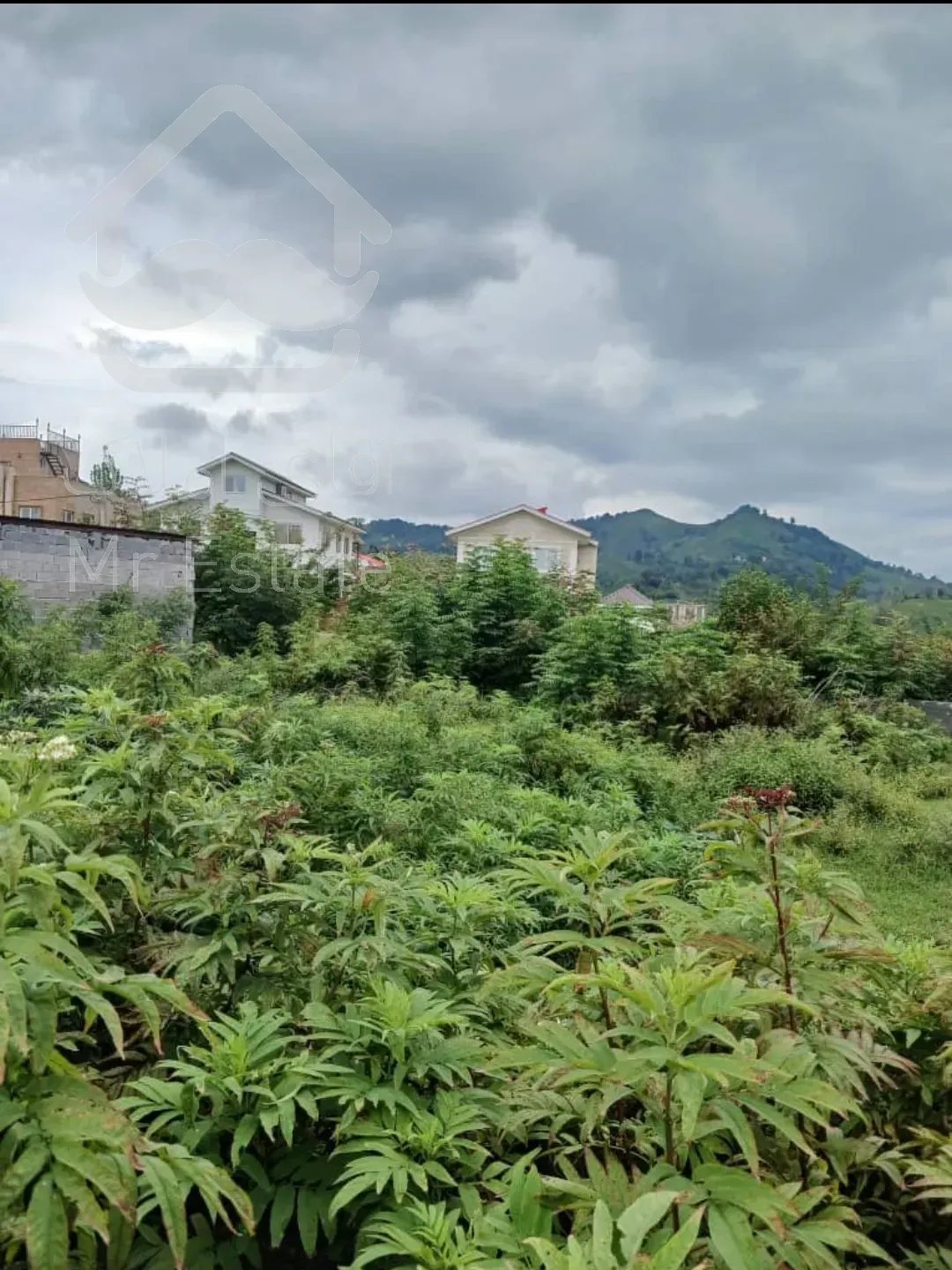 زمین مسکونی در استان گیلان سیاهکل