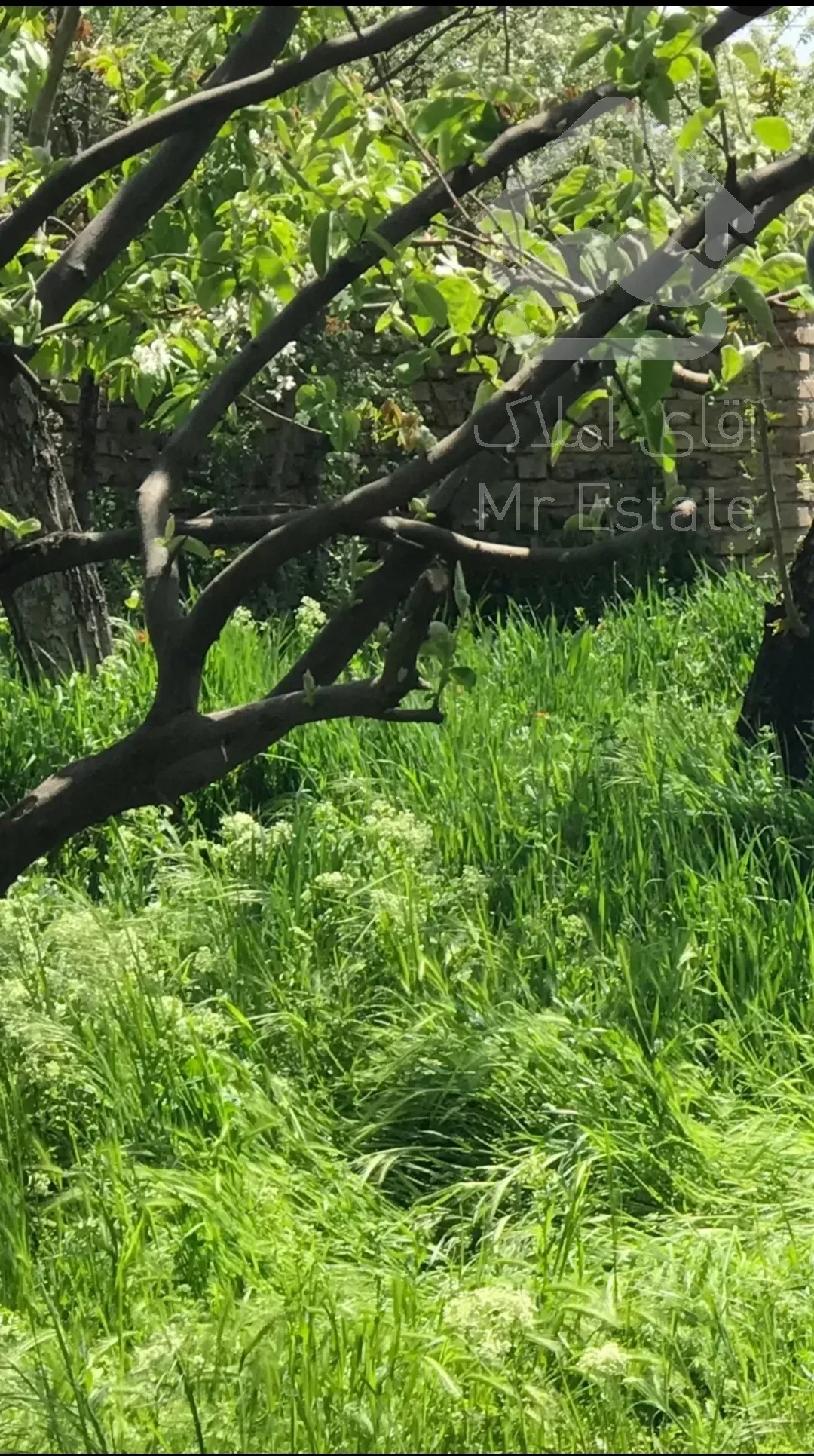 فروش باغ ویلا کردان قیمت کاسبی