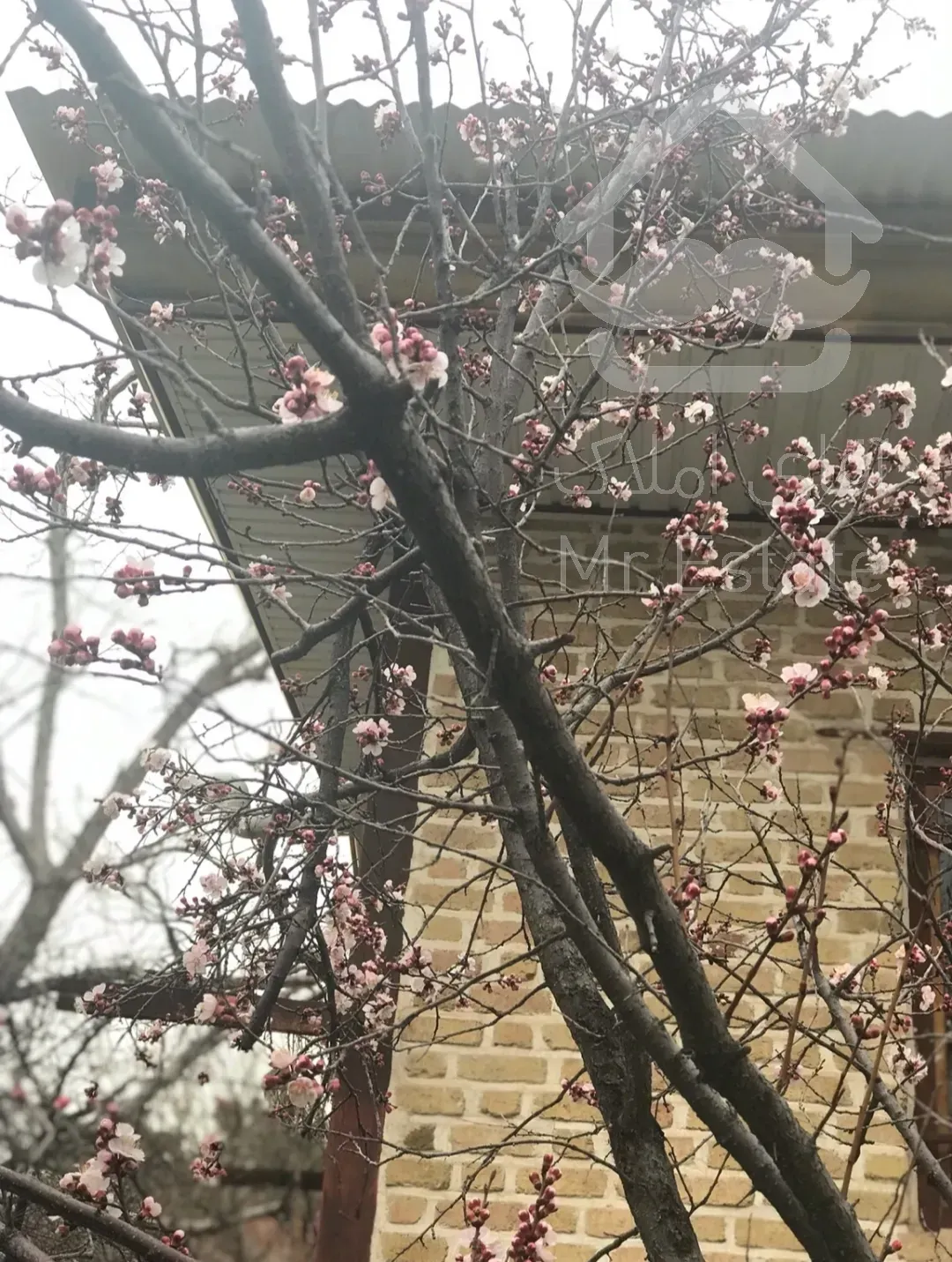 فروش باغ ویلا کردان قیمت کاسبی