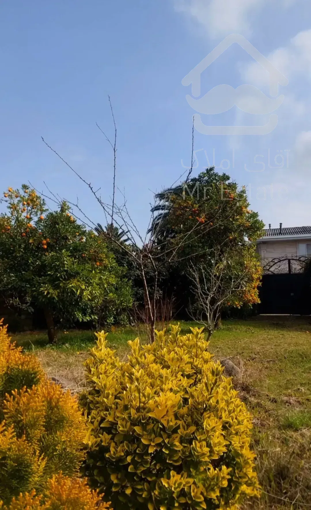 باغ مرکبات ۳۳۴۸مترچابکسرسرولات موقعیت عالی سندتک برگ