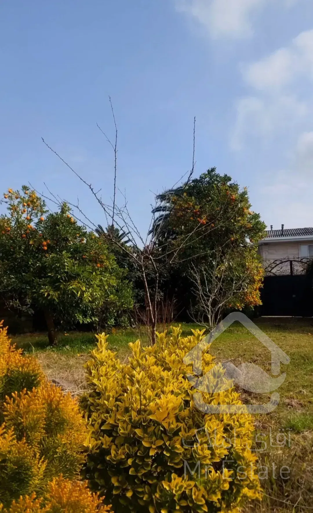 باغ مرکبات ۳۳۴۸متری درچابکسرسرولات