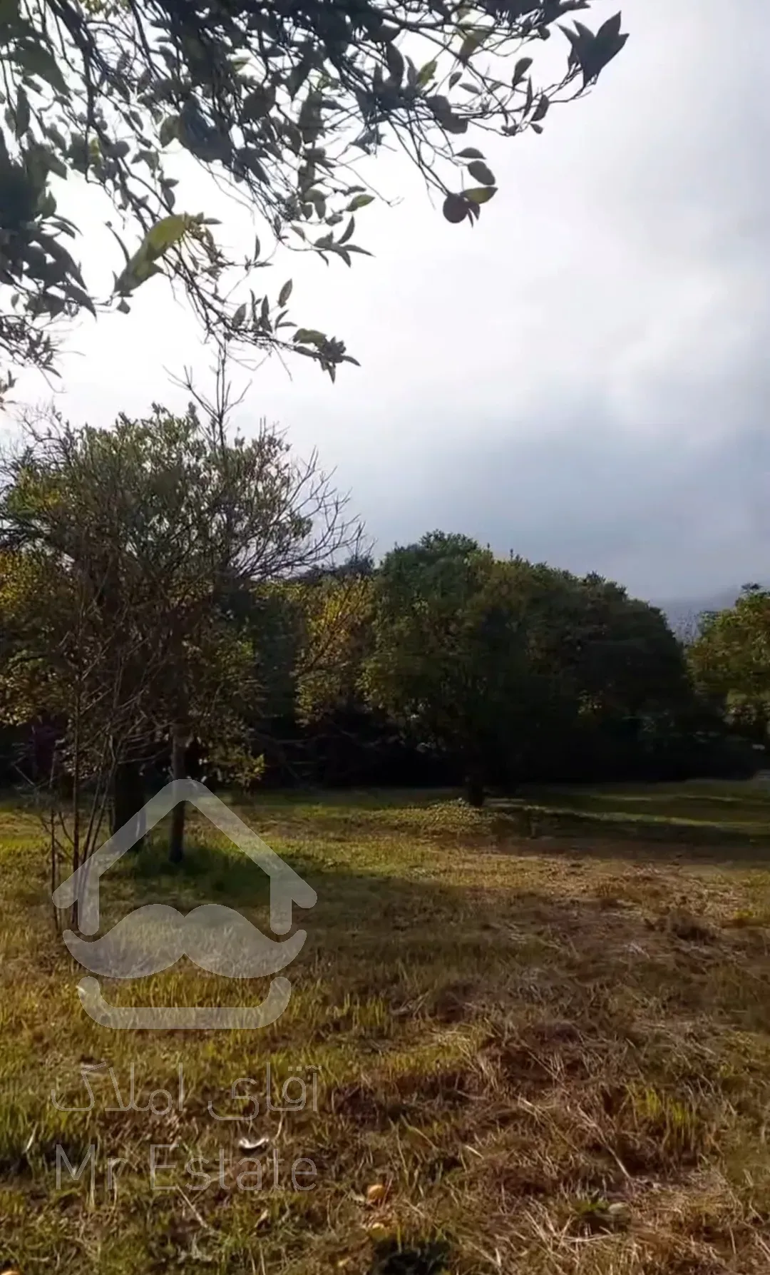 باغ مرکبات ۳۳۴۸مترچابکسرسرولات موقعیت عالی سندتک برگ