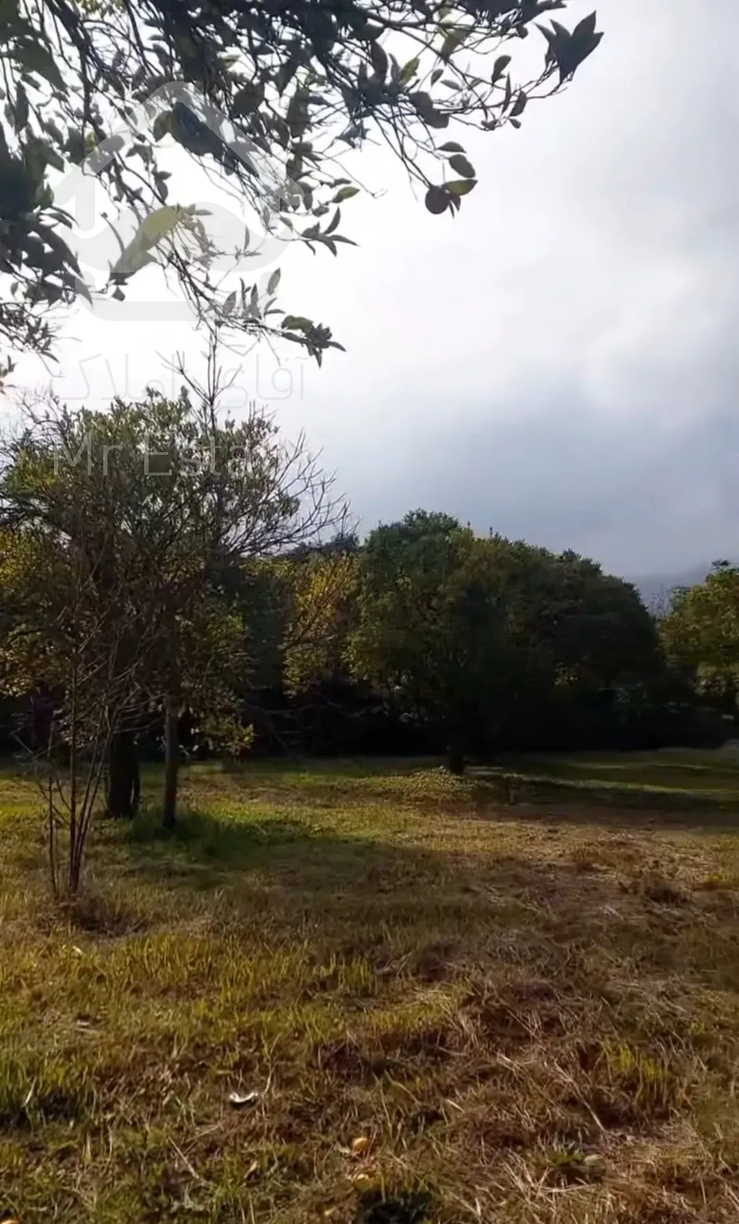 باغ مرکبات ۳۳۴۸متری درچابکسرسرولات