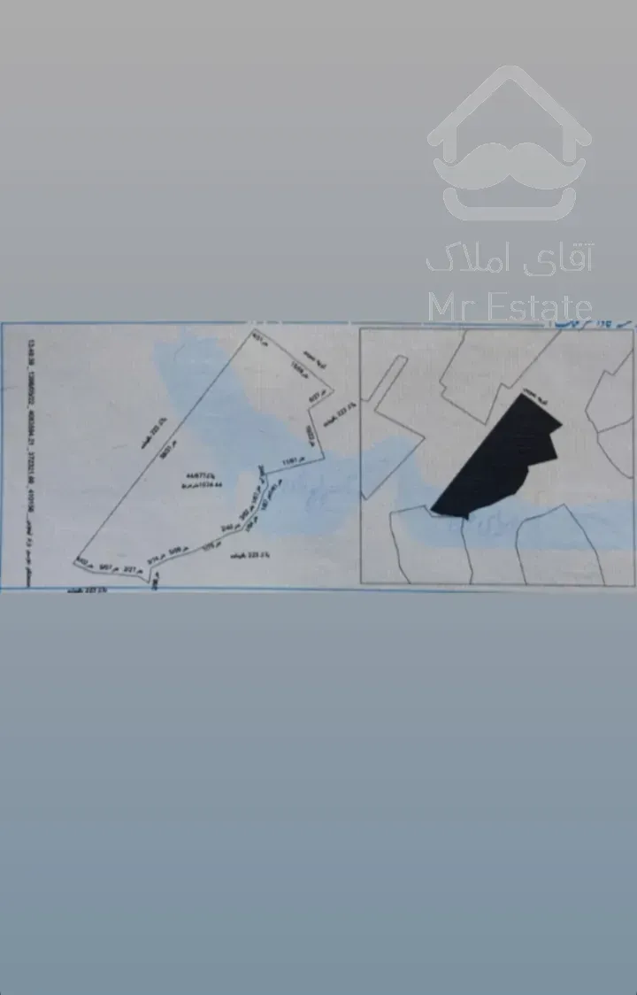 فروش ۱۱۵۰ متر مربع زمین جنگلی مسکونی