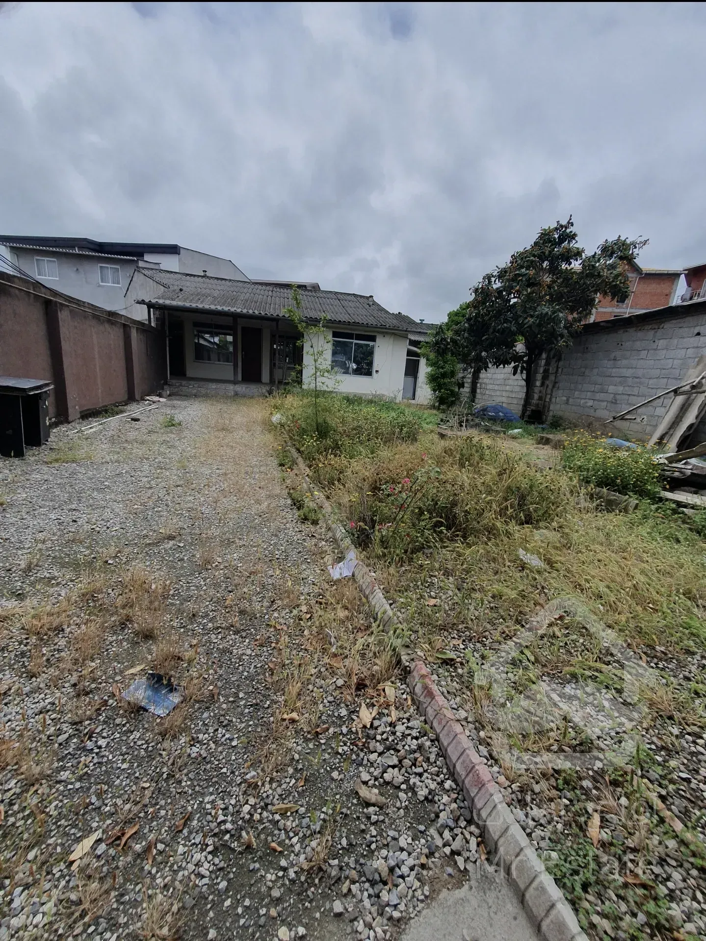 نور بر اصلی خیابان نیما