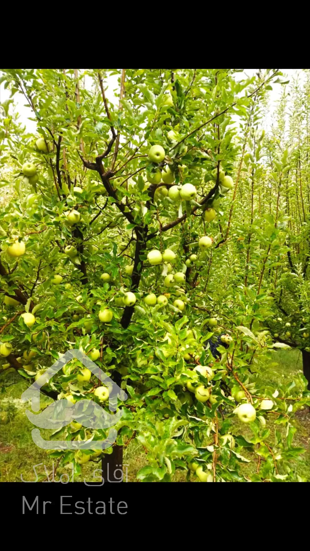 فروش باغ منطقه خوش آب و هوا