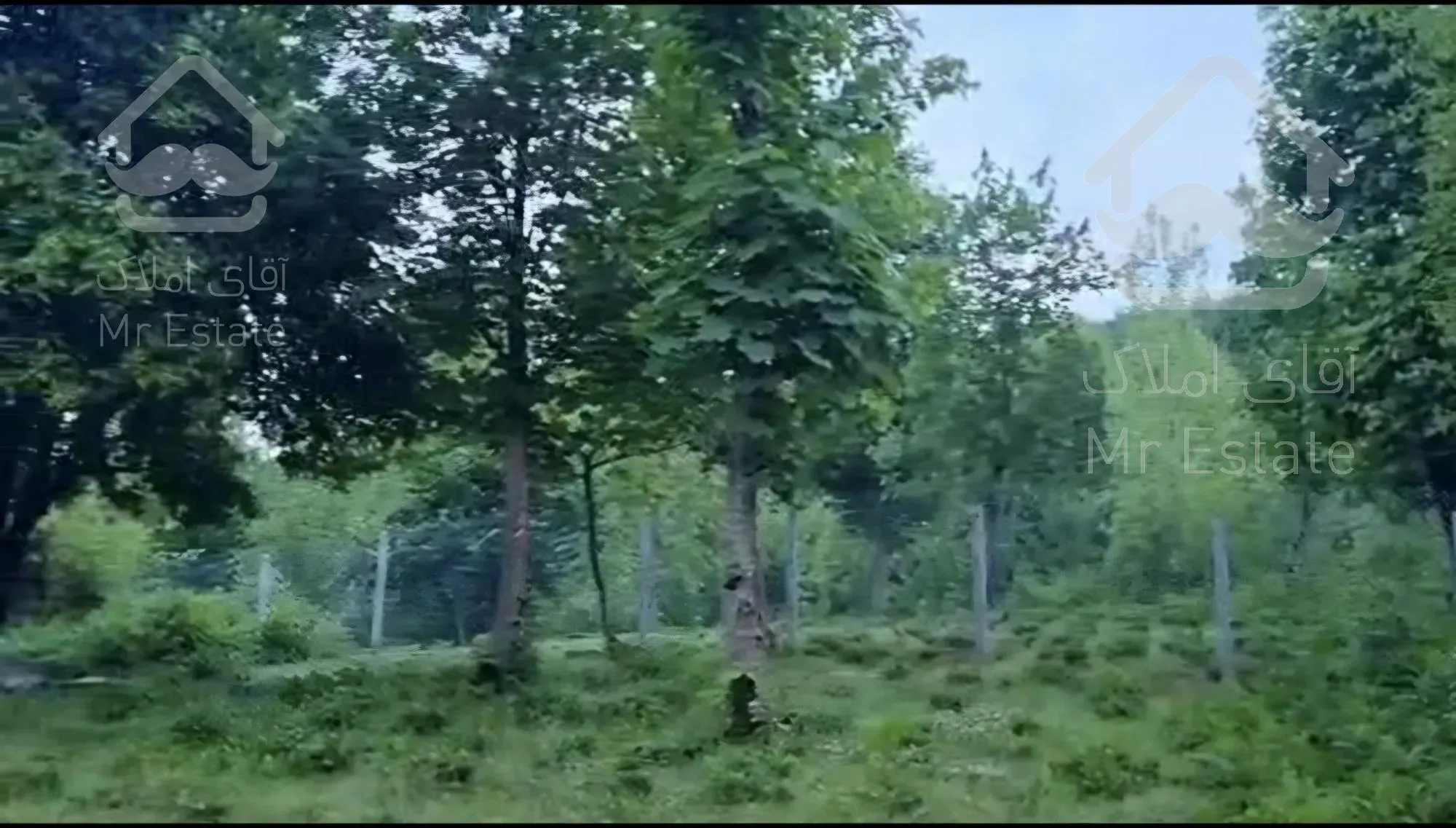 ۶هزار متر زمین ویلای سنتی چند الاچیق شیشه ای سندتک برگ ویو جنگل ورودخونه بر اصلی خیابان