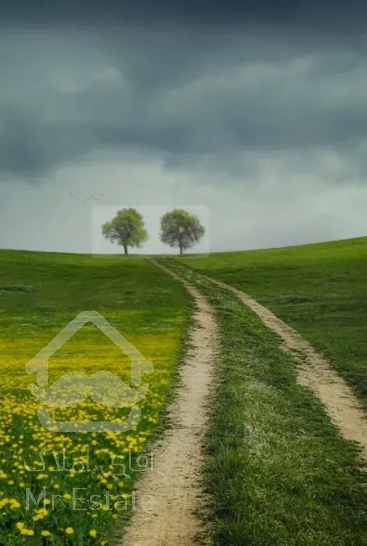 فروش زمین ۱۰۰۰ منری متل قو