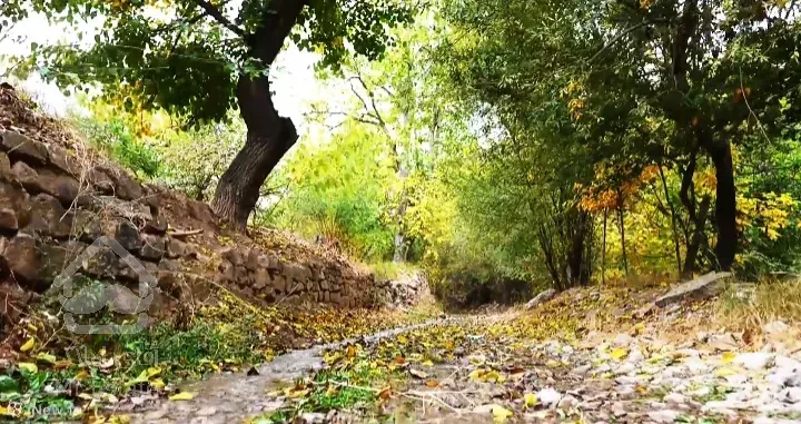 فروش رمین هکتاری رامسرمازندران