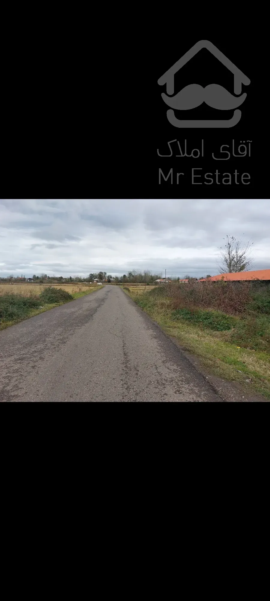 فروش باغ کیوی ۵هکتار رشت سنگر