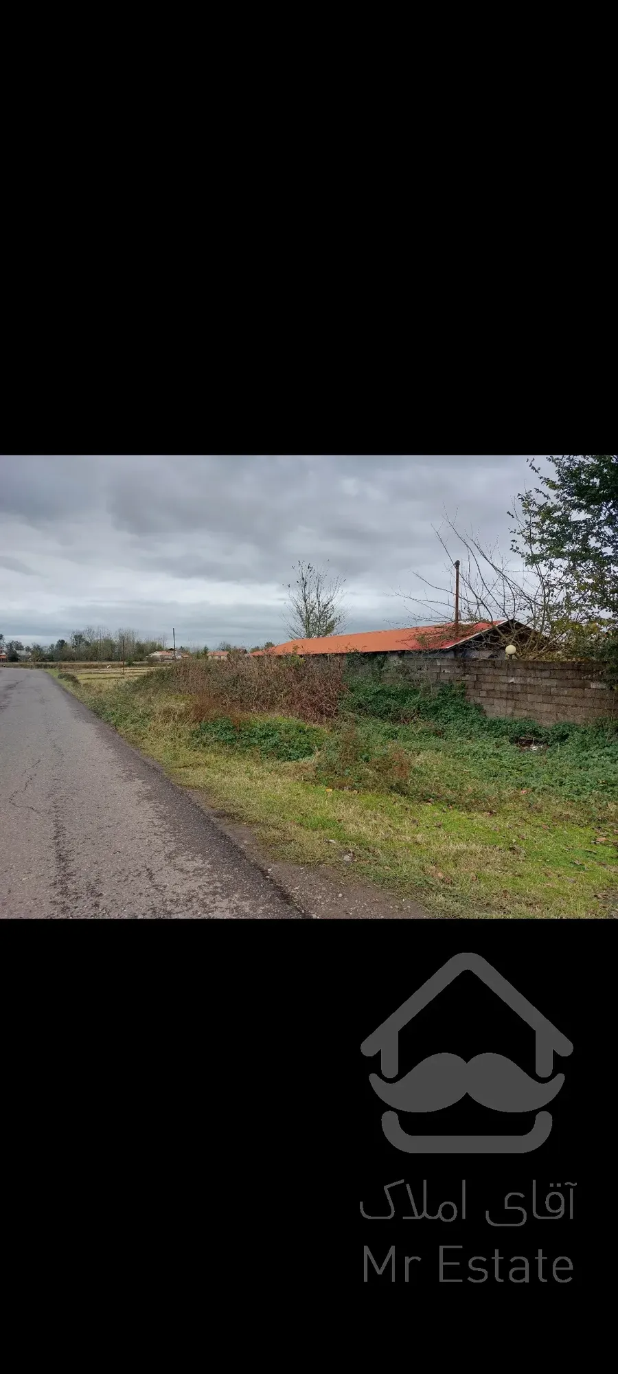 فروش باغ کیوی ۵هکتار رشت سنگر