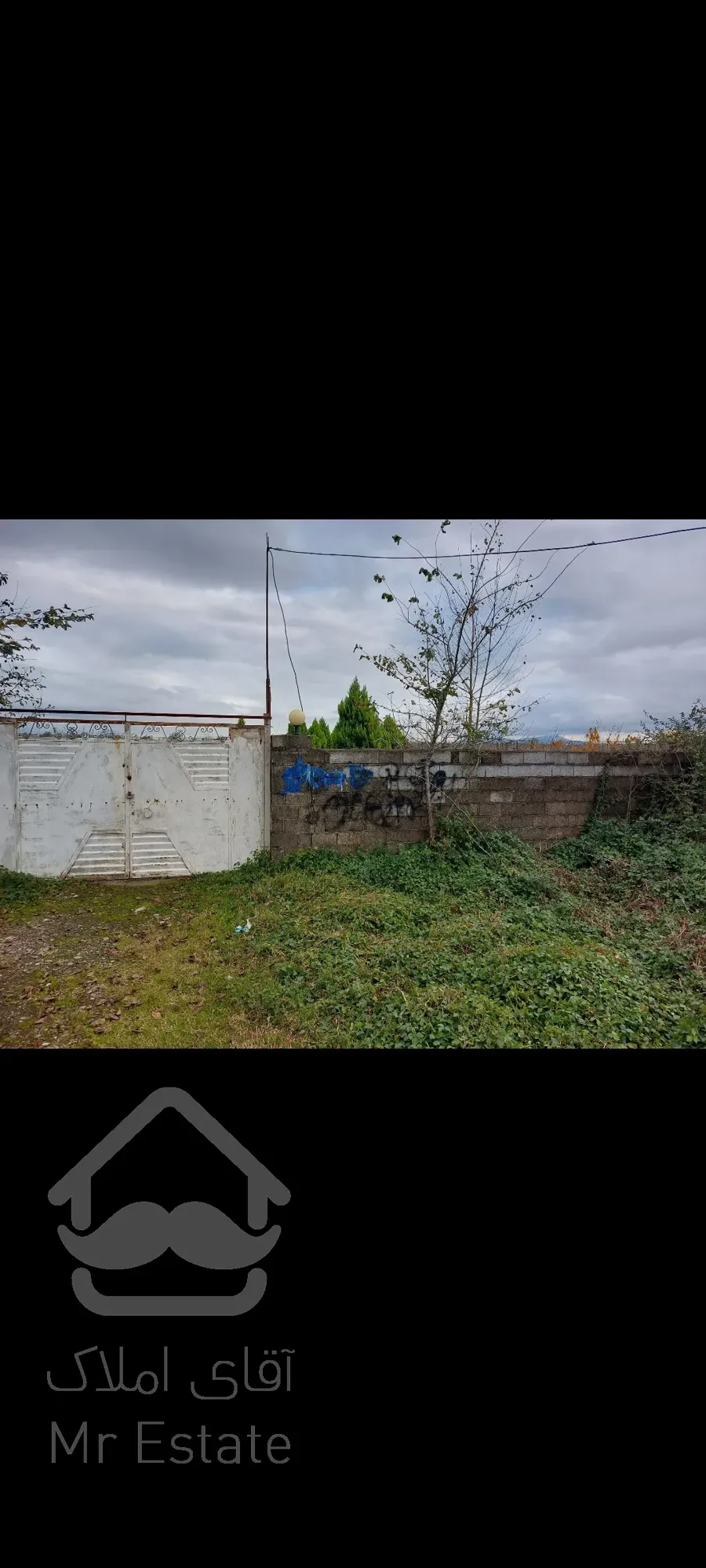 فروش باغ کیوی ۵هکتار رشت سنگر