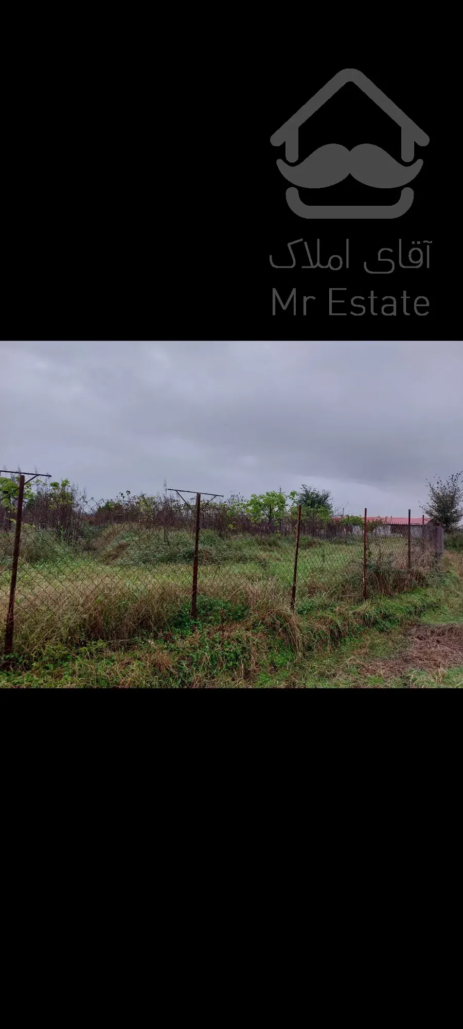 فروش باغ کیوی ۵هکتار رشت سنگر