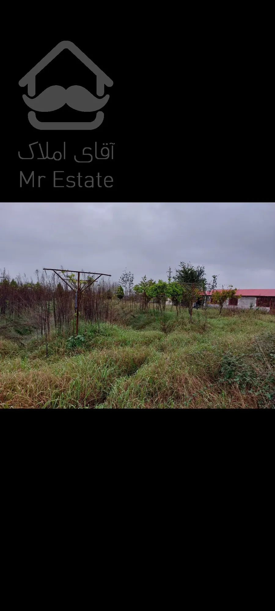 فروش باغ کیوی ۵هکتار رشت سنگر