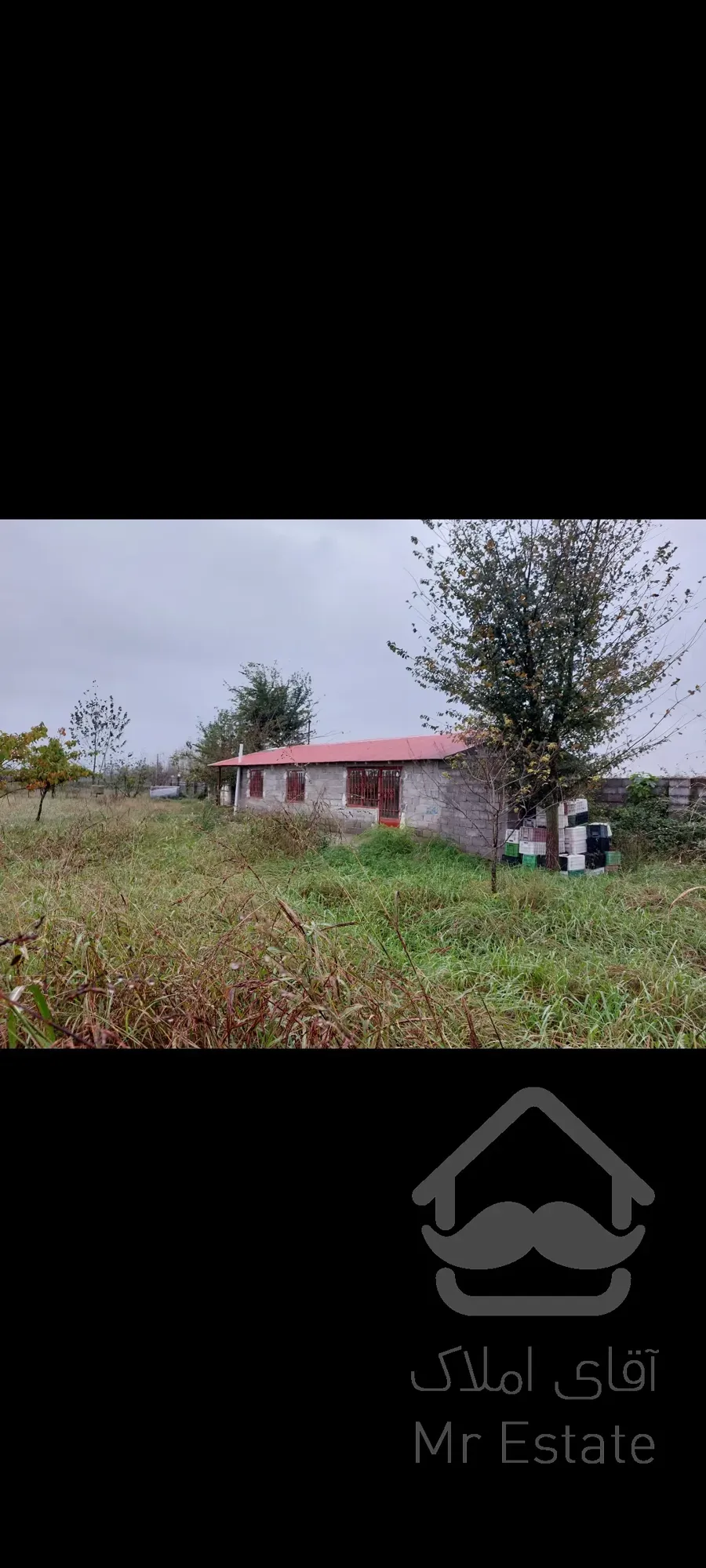 فروش باغ کیوی ۵هکتار رشت سنگر