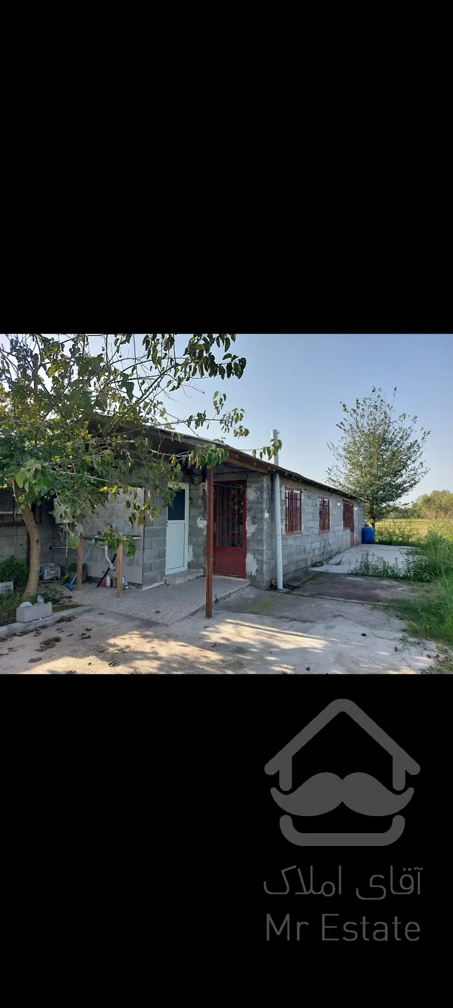 فروش باغ کیوی ۵هکتار رشت سنگر