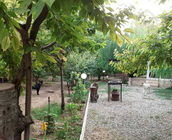باغچه دارای ۸۰۰متر زمین ودرختان میوه در کوهسار