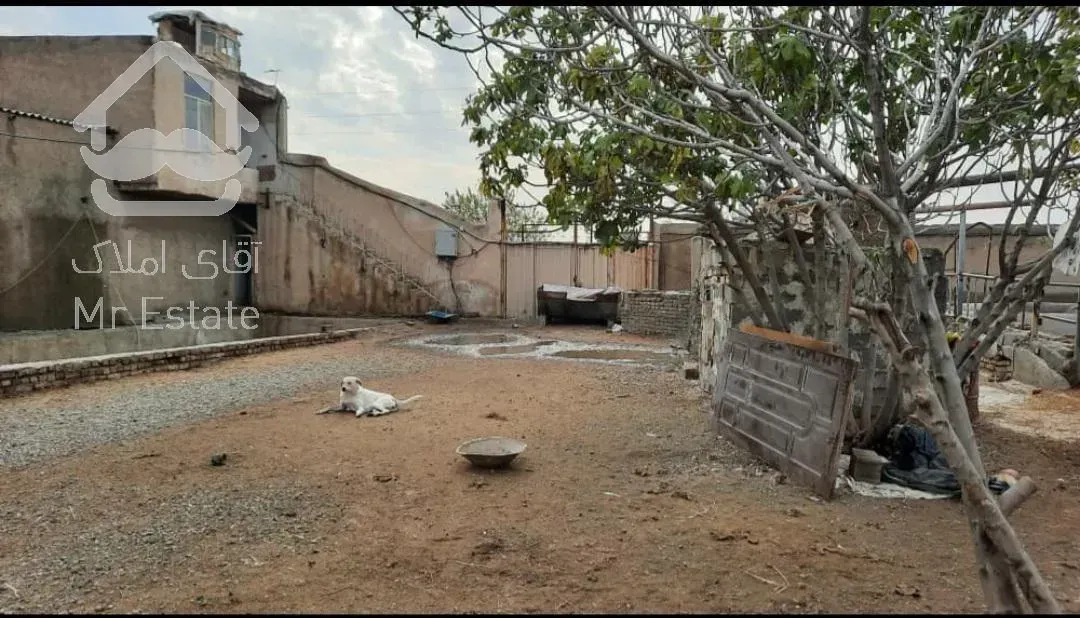 فروش دامداری ، گاوداری ، شهریار ، شاهد شهر